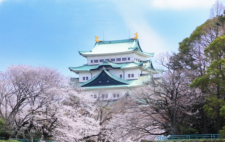 写真作品 お城と桜 - 写真