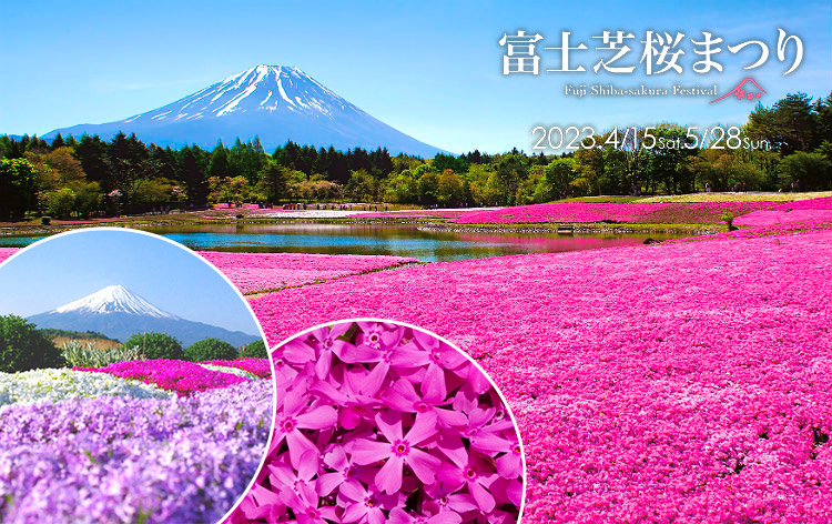 富士芝桜まつり（イメージ）写真提供：やまなし観光推進機構