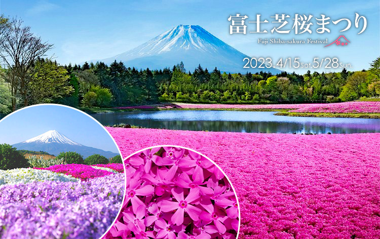 富士芝桜まつり（イメージ）写真提供：やまなし観光推進機構
