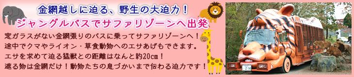 ジャングルバス（イメージ）
