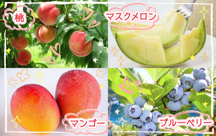 夏の静岡フルーツパラダイス（イメージ）