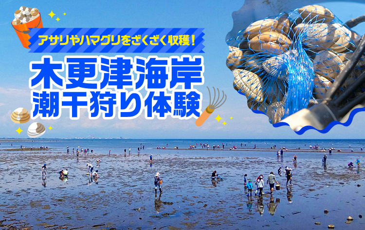 8周年記念イベントが 木更津海岸潮干狩り 参加券 i9tmg.com.br