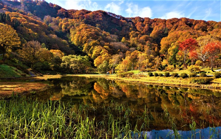 湯沢高原パノラマパーク・アルプの里エリア（イメージ）