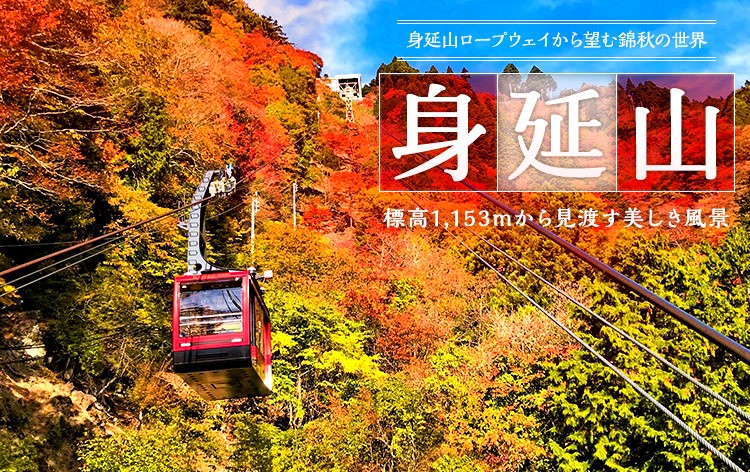 身延山ロープウェイ（イメージ）