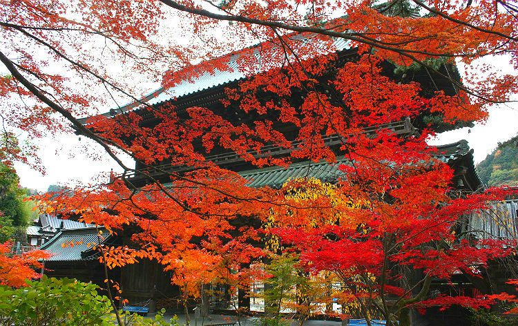 身延山久遠寺（イメージ）