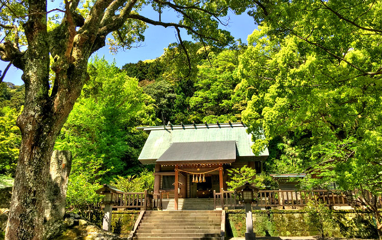 安房神社（イメージ）