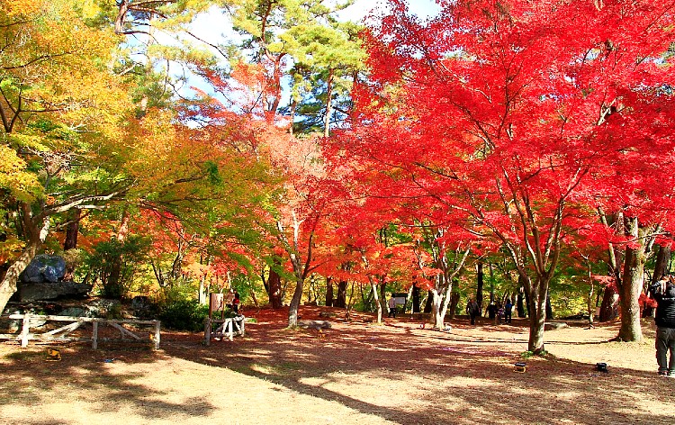 月の石もみじ公園（イメージ）