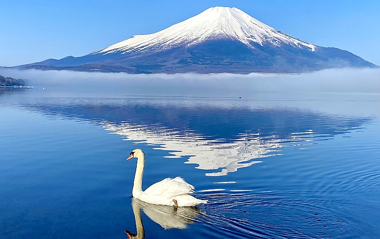 山中湖（イメージ）