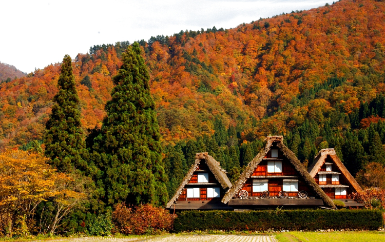 白川郷　写真提供　岐阜県白川村役場（イメージ）