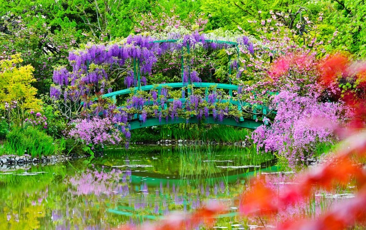 浜名湖ガーデンパーク 花の美術館（イメージ）