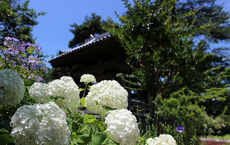 青龍山吉祥寺（イメージ）