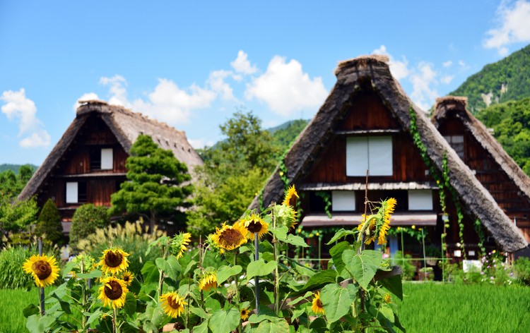 白川郷　写真提供：岐阜県白川村役場（イメージ）