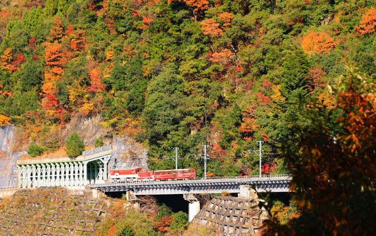 大井川鐵道_南アルプスあぷとライン（秋撮影／イメージ）