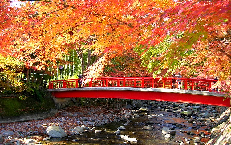 修善寺温泉街（イメージ）