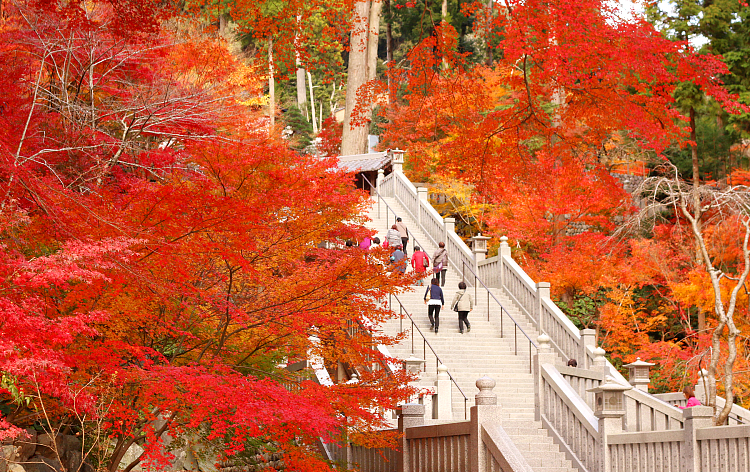 法多山 尊永寺（イメージ）