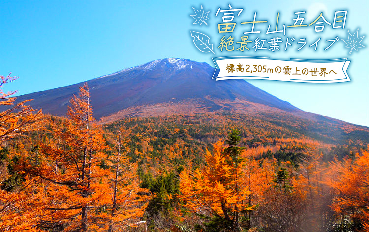 富士山五合目（イメージ）