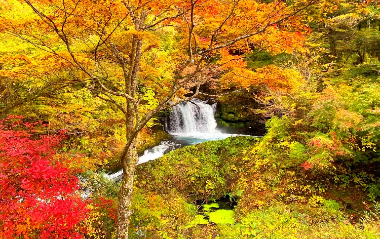 鐘山の滝（イメージ）