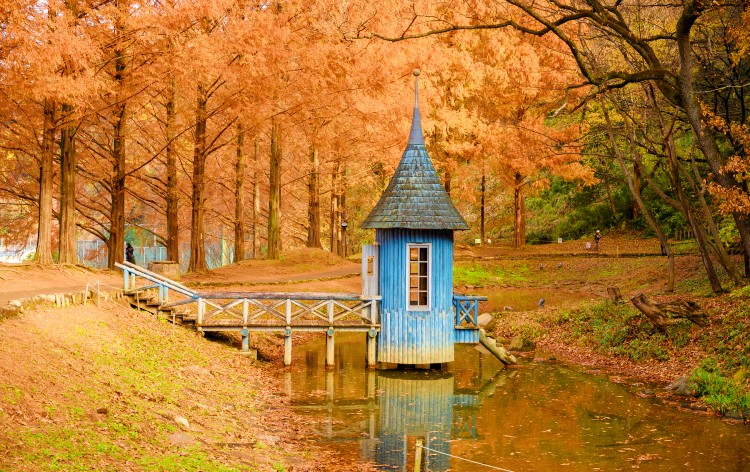 トーベ・ヤンソンあけぼの子どもの森公園（イメージ）