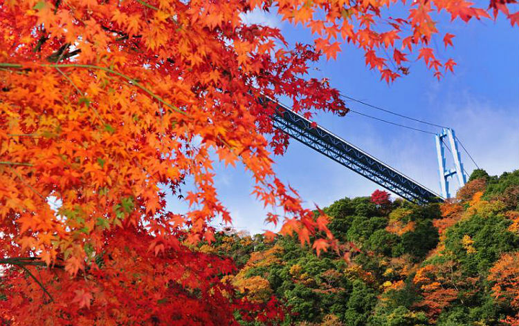 竜神大吊橋（イメージ）