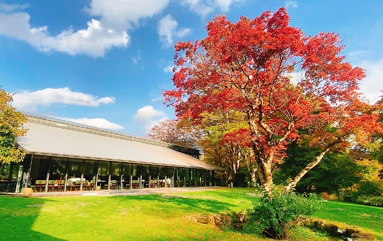 箱根ラリック美術館（イメージ）