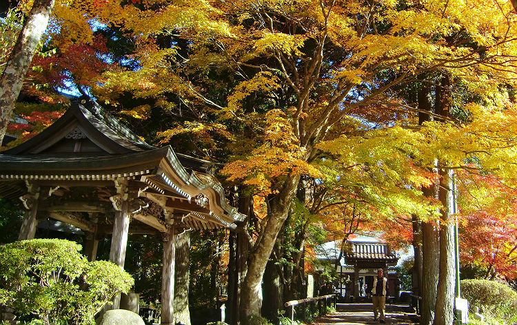 長安寺（イメージ）