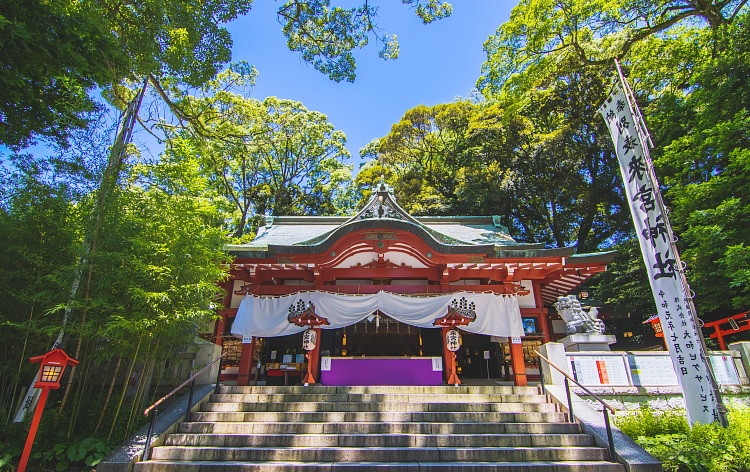 來宮神社（イメージ）