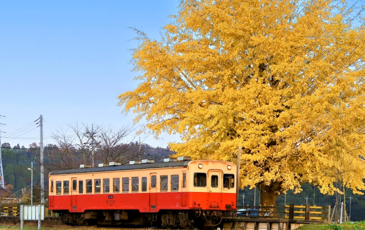 小湊鐵道（イメージ）