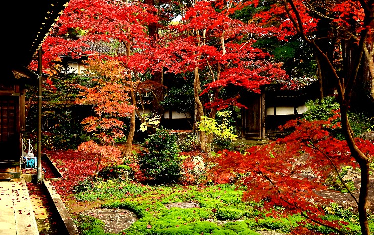 中野邸記念館（イメージ）