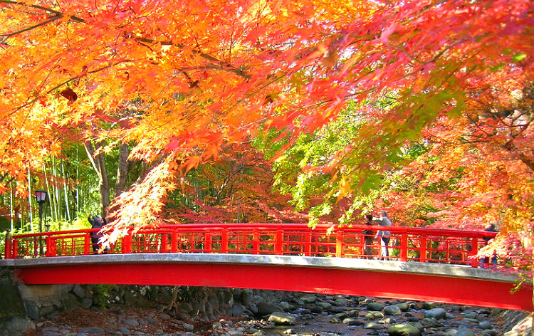 修善寺温泉（イメージ）