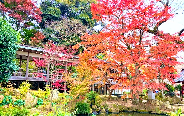 雨引観音（イメージ）※12月上旬頃©桜川市観光協会