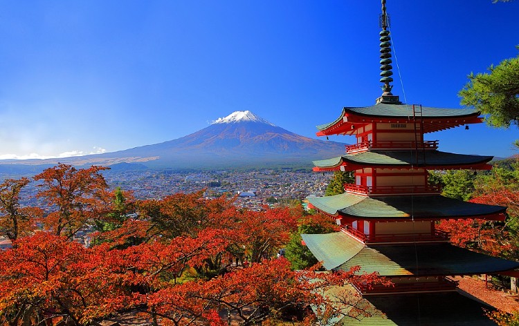 新宿発】【出発間際SALE】山梨紅葉三名所！幻想的なもみじトンネルにうっとり♪「河口湖もみじ回廊」ライトアップと紅葉煌めく渓谷美「昇仙峡」＆新倉富士浅間神社＜うなぎ弁当付＞  | HIS 首都圏発