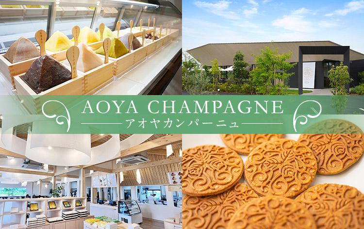 AOYA CAMPAGNE（イメージ）