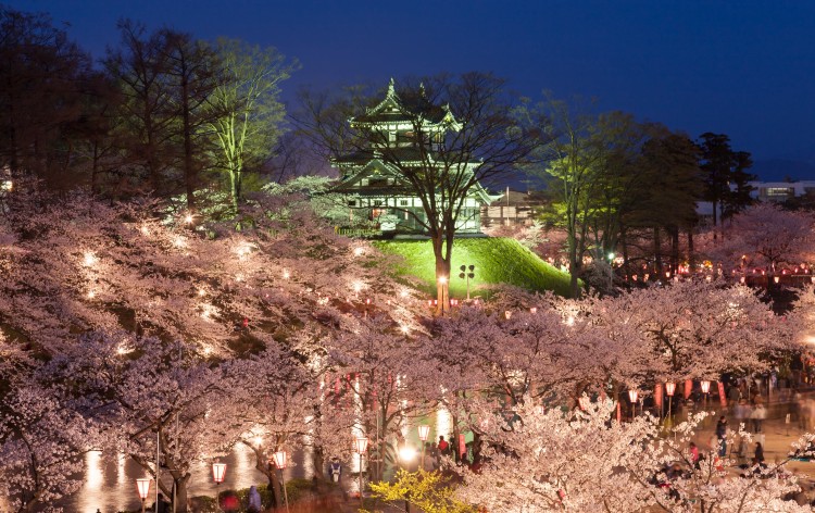 高田城址公園観桜会 （公社）上越観光コンベンション協会（イメージ）