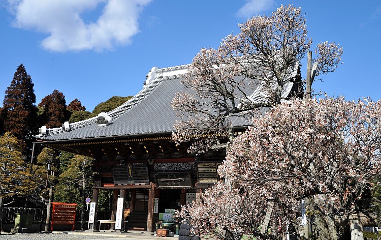 成田山（イメージ）