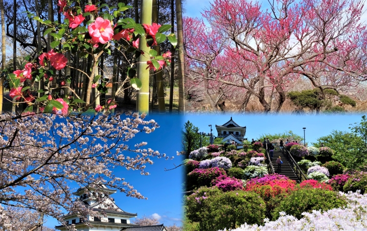 館山城・城山公園（イメージ）