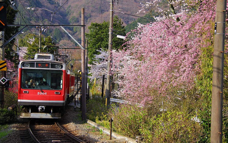 箱根登山鉄道（イメージ）