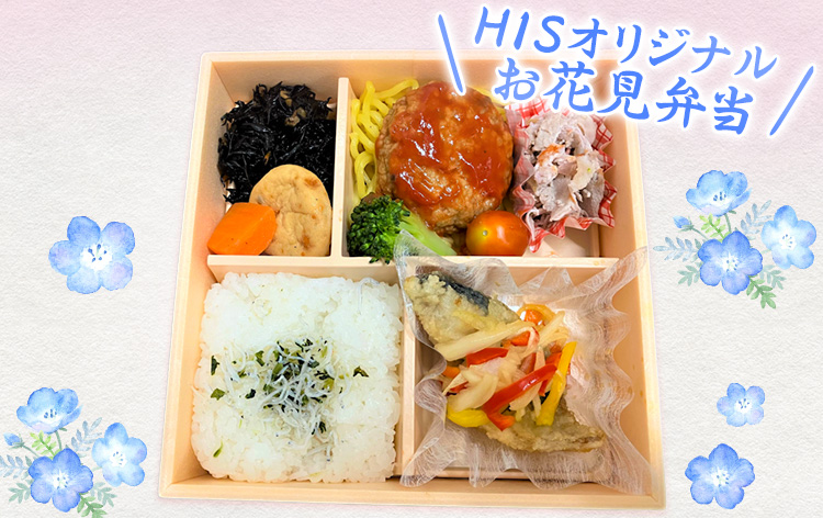 HISオリジナルお花見弁当（イメージ）※画像は2024年開催時のもの