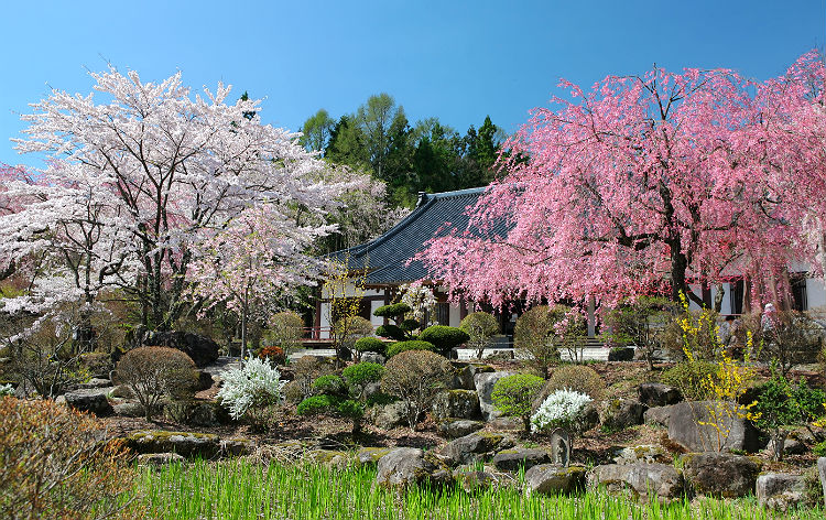 光前寺（イメージ）