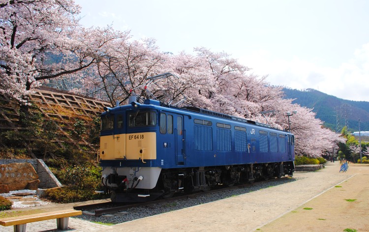 勝沼ぶどう郷駅／甚六桜（イメージ）