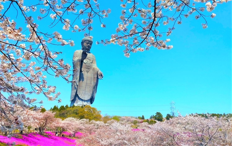 牛久大仏（イメージ）