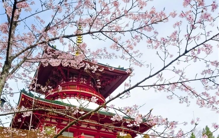 成田山新勝寺（イメージ）