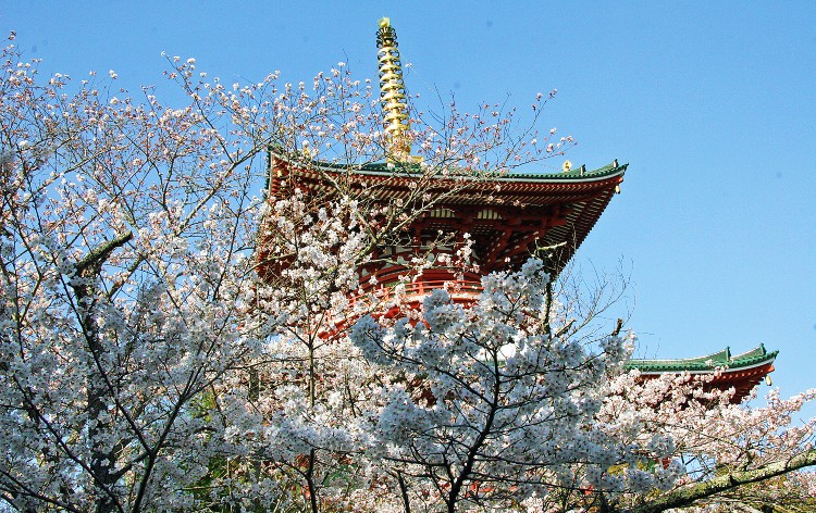 成田山新勝寺（イメージ）