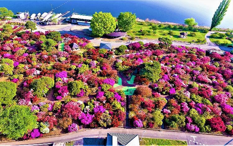 館林市つつじが岡公園（イメージ）