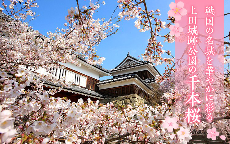 上田城跡公園（イメージ）