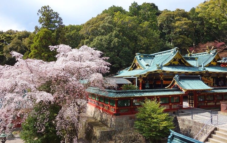 久能山東照宮と桜（イメージ）写真提供：久能山東照宮