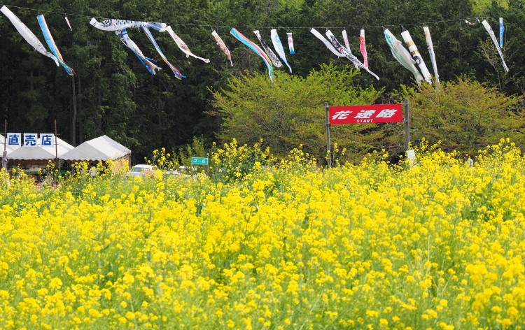 鼻高展望花の丘（イメージ）