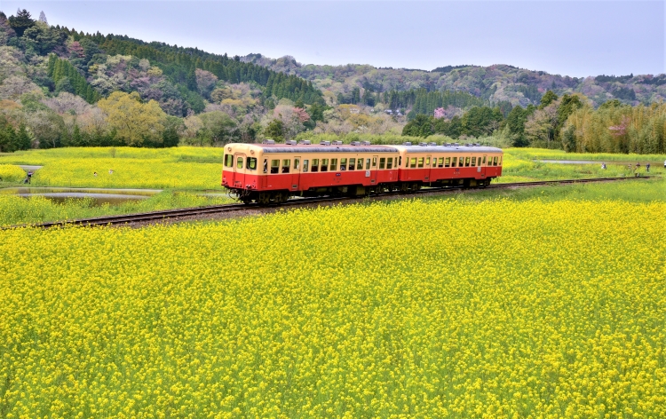 小湊鉄道（イメージ）