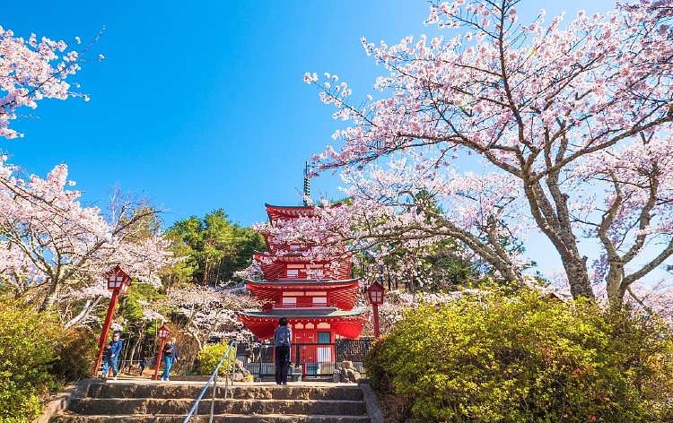 新倉富士浅間神社（イメージ）写真提供：やまなし観光推進機構