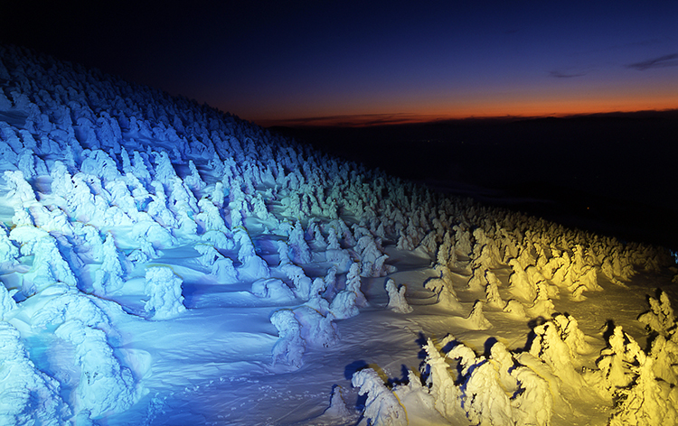 新宿発 自然が織り成す雪の芸術 蔵王スノーモンスター 樹氷ライトアップと雪化粧の銀山温泉 米沢牛満喫ディナー かみのやま温泉２日間 His 首都圏発