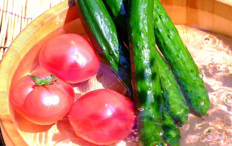 朝採れ野菜（イメージ）